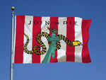 Load image into Gallery viewer, Single Sided - Sons and Daughters of Liberty Flag
