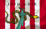 Load image into Gallery viewer, Single Sided - Sons and Daughters of Liberty Flag
